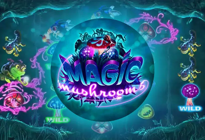 Gioca ai migliori giochi di casino su Heyspin app mobile.