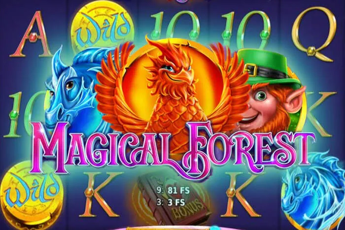 Vaste bibliothèque de jeux Bonus Heyspin Casino.