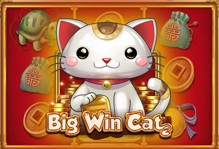 Generous Heyspin Casino Bonus & Free Spins promotions.